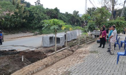 Pemasangan Box Culvert Dipantau Langsung Oleh Walikota Bandar Lampung