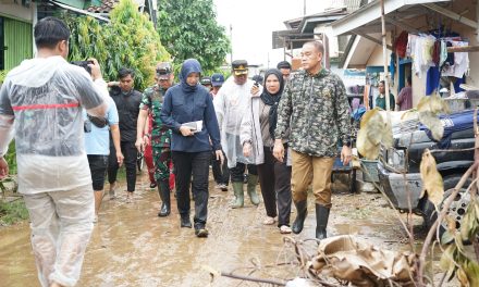 Walikota Bandar Lampung Eva Dwiana Meninjau lokasi terdampak banjir di kecamatan panjang